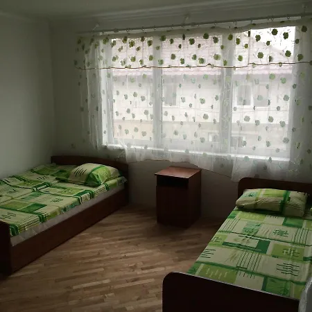 Vidpochinok V